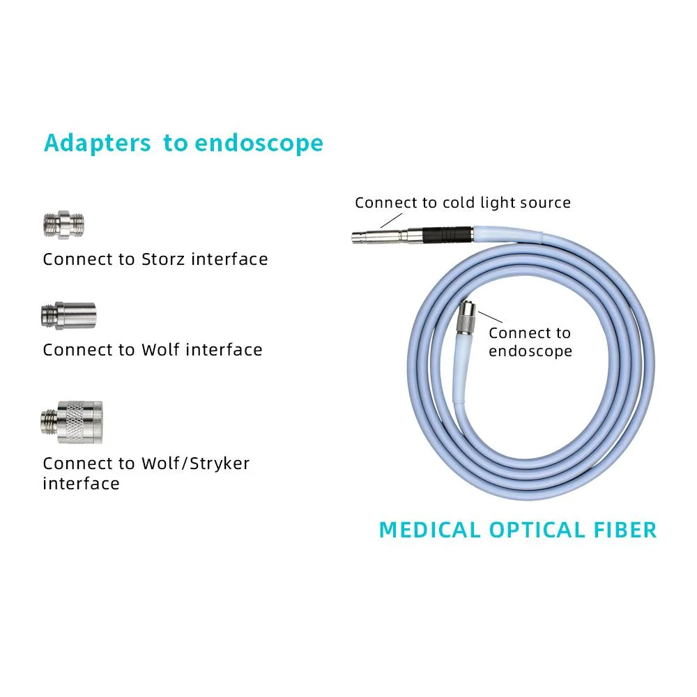 Tuyou Factory Price Portable High Brightness Endoscope 120W LED Cold Light Source for Endoscopy Camera